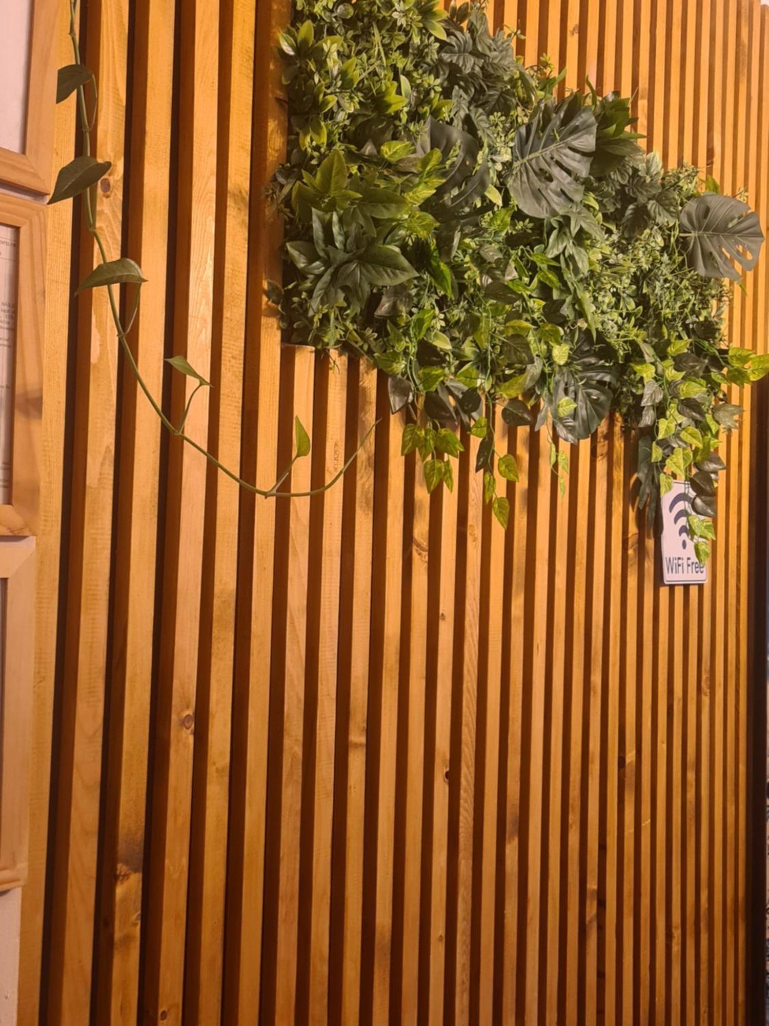 Guesthouse Magic Băile Herculane المظهر الخارجي الصورة