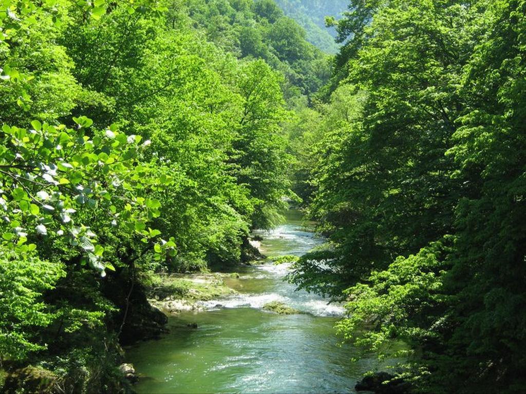 Guesthouse Magic Băile Herculane المظهر الخارجي الصورة